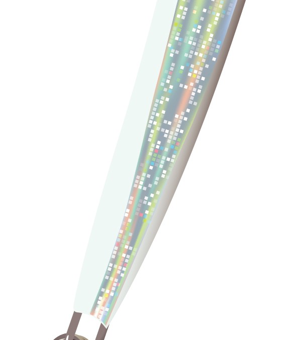 Metal baitfish profile illustration featuring gradient mesh and transparencies.